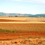 El Procurador del Común pide a la Junta agilizar la entrega de títulos de propiedad en las concentraciones parcelarias