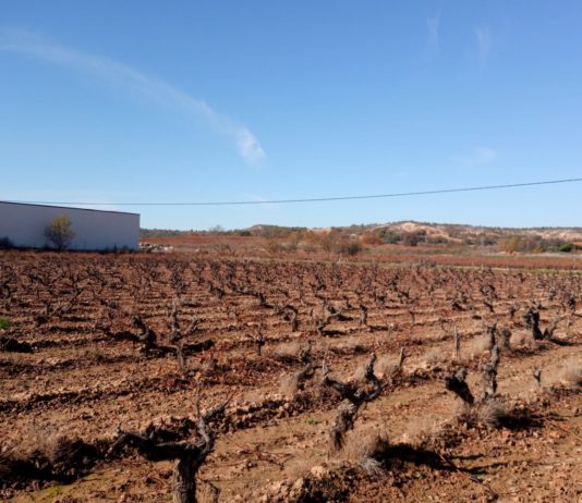 Las organizaciones agrarias llevan ante la AICA los incumplimientos de contrato que hacen las bodegas con los productores