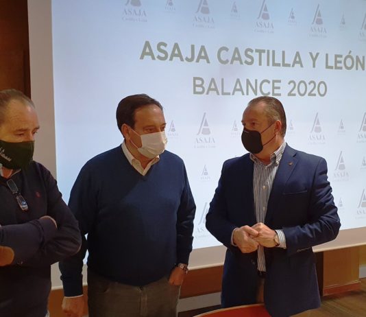 Balance 2020: El sector agrario salva con las lluvias y sus propias fuerzas el año más complicado