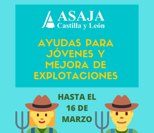 Ya pueden solicitarse las ayudas para jóvenes y mejora de explotaciones en Castilla y León