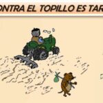 Primavera 2021: recomendaciones para reducir el avance del topillo