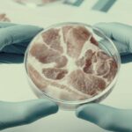 Estorbos para los veguis y la carne artificial