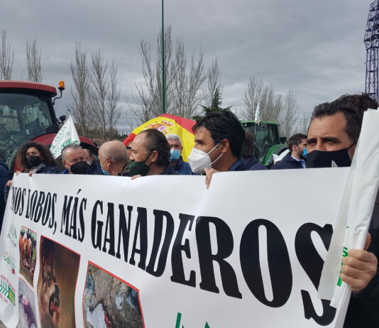 ASAJA, COAG y UPA reiteran su rechazo a dejar de controlar el lobo y mantienen el proceso de movilizaciones