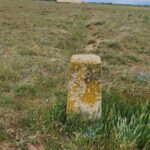 Mojones que deslindan la cañada real leonesa de los pueblos