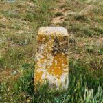 Piedras que se mueven, pero no solas