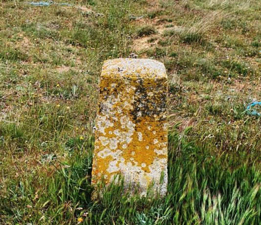 Piedras que se mueven, pero no solas