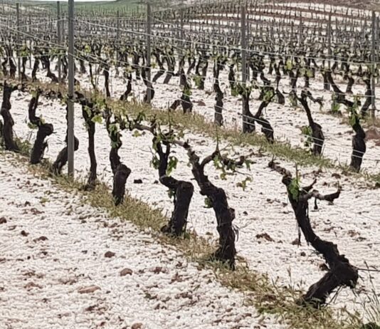 Temor ante los episodios de tormentas y granizos en un momento complicado para los cultivos