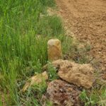 mojones que separan fincas