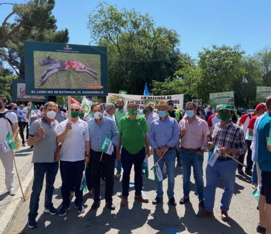 Castilla y León se sumó a la protesta nacional contra el blindaje del lobo, que deja desprotegido al ganadero