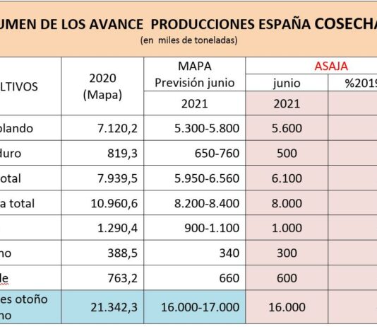 ASAJA prevé una cosecha nacional de cereales de invierno de 16 millones de toneladas, un 25% menos que el año pasado