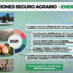 La convulsa meteorología del primer semestre de 2021 dispara las indemnizaciones previstas por Agroseguro