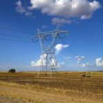 Últimos días para identificar tendidos eléctricos y optar a ayudas para sistemas de protección de la avifauna