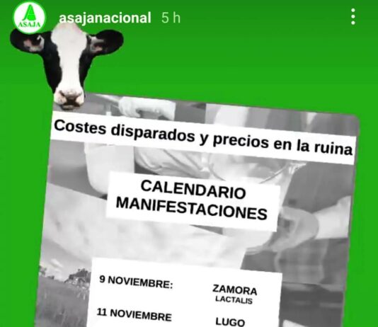 Costes disparados y precios de ruina: Los ganaderos lácteos españoles endurecerán las protestas