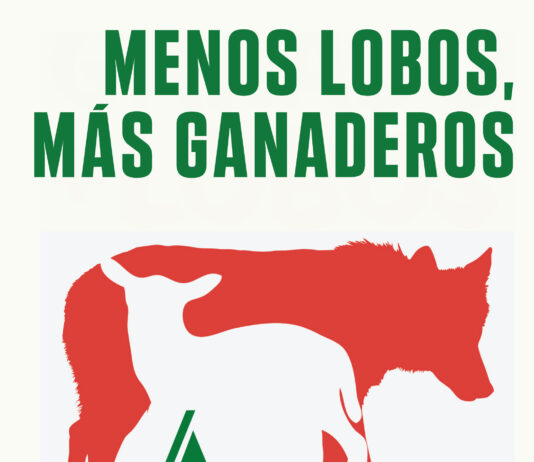 ASAJA califica “de ensañamiento con los ganaderos” que el Gobierno español se oponga a la resolución del Parlamento Europeo para limitar los ataques del lobo