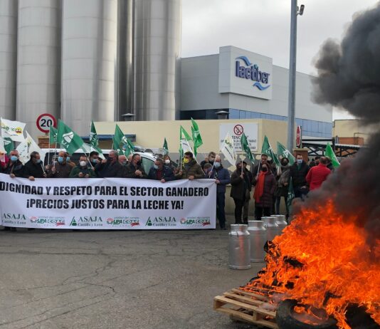 ASAJA: el Gobierno no puede permanecer impasible ante la ruina de los ganaderos de vacuno de leche