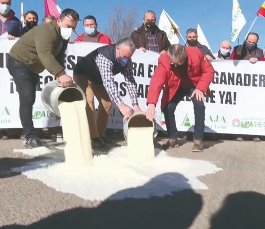 Los ganaderos derraman leche a las puertas de la industria para reclamar un precio justo