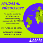 Hasta el 28 de abril pueden solicitarse las ayudas a la reestructuración y reconversión de viñedos en Castilla y León