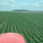 El dineral que invertimos en cada hectárea