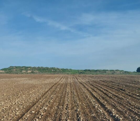 La prudencia en el gasto determina la elección de cultivos de los agricultores de Castilla y León