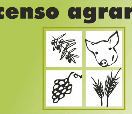 El Censo Agrario 2020 confirma a Castilla y León como motor de la agricultura profesional en España