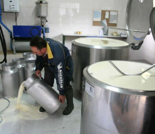 El sector ganadero pide una prórroga que garantice la recogida de leche mientras se negocia una solución