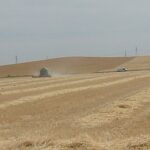 Devolución del IBI de naturaleza rústica