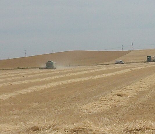 ASAJA advierte del «error garrafal» que supondría diseñar un Programa para Tierra de «Campos» sin escuchar al campo
