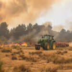 «Zona catastrófica» para 41 de los incendios registrados en Castilla y León, la comunidad más afectada