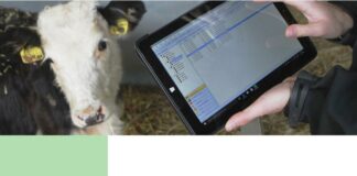 Módulo ganadero: desde el 15 de enero solo se admitirán crotales con formato electrónico para comunicar nacimientos de vacuno