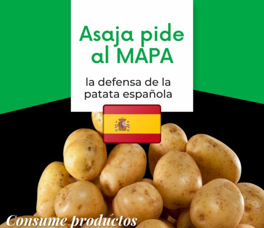 ASAJA pide al ministerio de Agricultura que actúe en defensa de la patata española