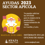 Hasta el 20 de abril: ayuda a la mejora de la producción y comercialización de miel