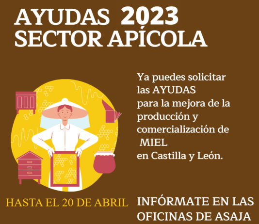 Hasta el 20 de abril: ayuda a la mejora de la producción y comercialización de miel