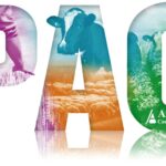 Solicitud Única PAC 2025