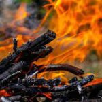 Resolución para la quema de residuos vegetales generados en el entorno agrario