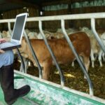 Ampliación del presupuesto para las ayudas del plan de impulso de la sostenibilidad y competitividad de la agricultura y la ganadería