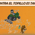 Topillo campesino: recomendaciones de manejo periodo estival 2024