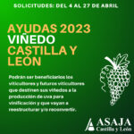 Ayudas para la reestructuración y reconversión de viñedos, hasta el 27 de abril