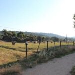 Elecciones municipales