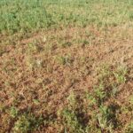 Reforzar el seguro agrario