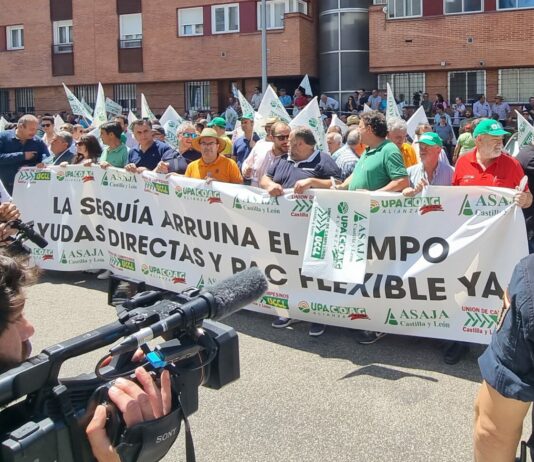 ASAJA Castilla y León: las ayudas del Gobierno por la sequía son escasas e injustamente repartidas