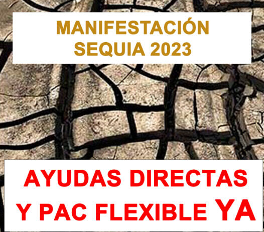 JUEVES 15 DE JUNIO: EL CAMPO DE CASTILLA Y LEÓN SE MANIFESTA PARA RECLAMAR APOYO FRENTE A LA SEQUÍA