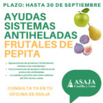 Abierto el plazo de solicitud de las ayudas a sistemas antiheladas para frutales de pepita, consulta ya en ASAJA