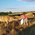 Accesit: Aroa Moreno Morato