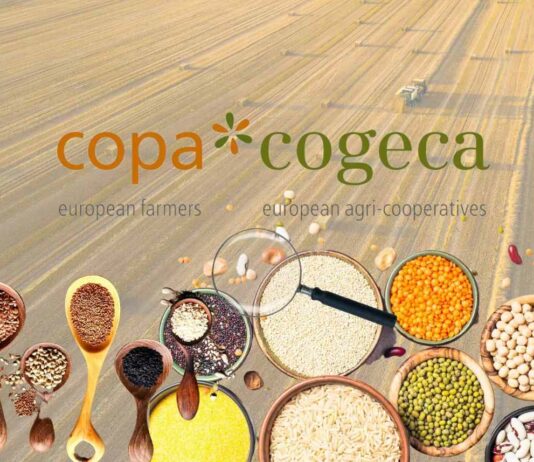 ASAJA respalda el clamor unánime del sector agrario europeo para que se adapten las normas de condicionalidad de la PAC a la realidad del campo