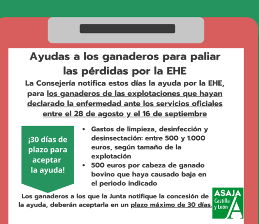 Publicada la resolución de ayudas a los ganaderos para paliar las pérdidas por la Enfermedad Hemorrágica Epizoótica