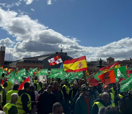 Los agricultores y ganaderos de Castilla y León defienden hoy en Madrid el futuro del campo y de la alimentación europea
