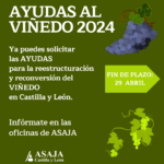 Ayudas 2024 a la reestructuración y reconversión de viñedos, hasta el 29 de abril