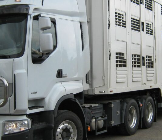El sector advierte sobre el impacto de posibles cambios legislativos de bienestar animal en transporte animal