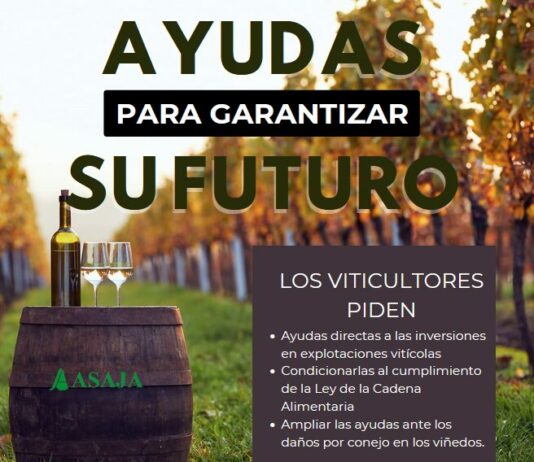 Los viticultores reclaman ayudas para garantizar su futuro