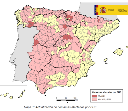 Confirmado un foco de EHE en la comarca de Salas de los Infantes